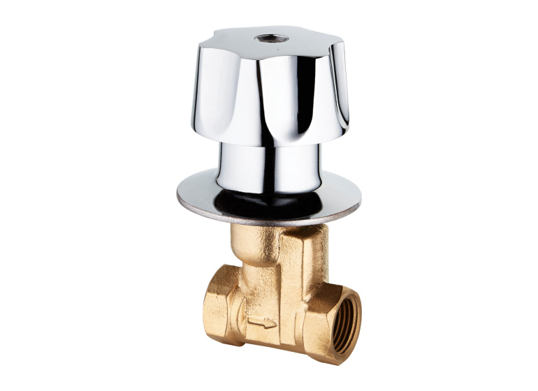 Concealed valve - ZS1514